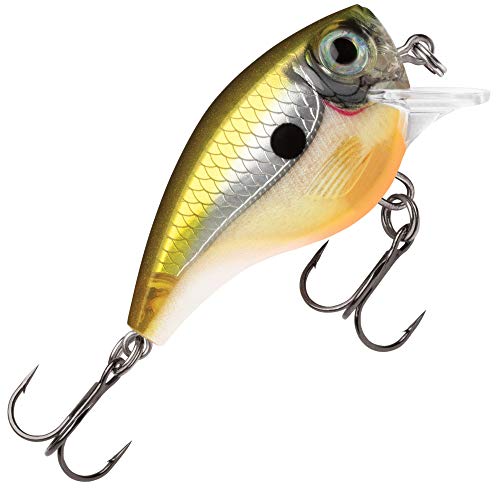 Rapala(ラパラ) クランクベイト BX ブラット BX.